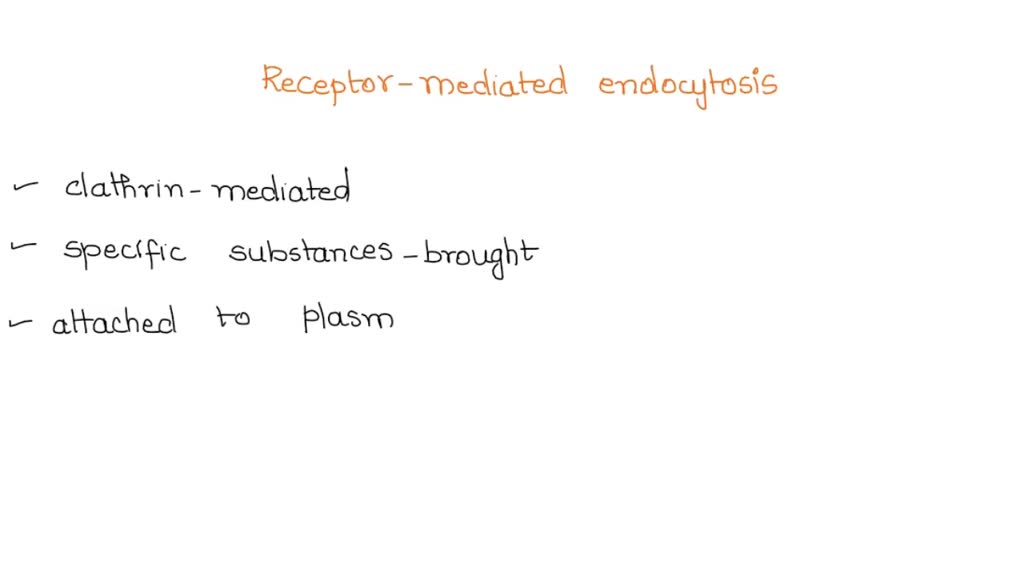 SOLVED CYTOPLASM EXTRACELLULAR FLUID Plasma membrane Transduction