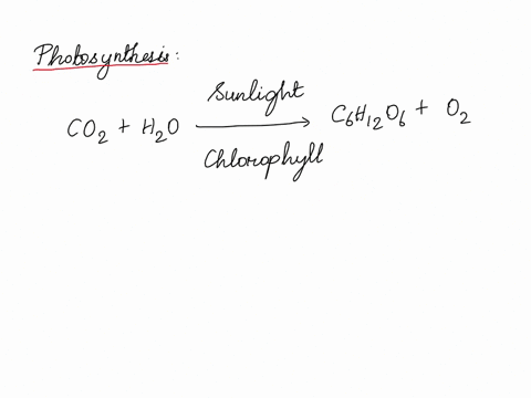 the-oxygen-released-during-photosynthesis-comes-from-molecules-of-water-true-or-false-14326