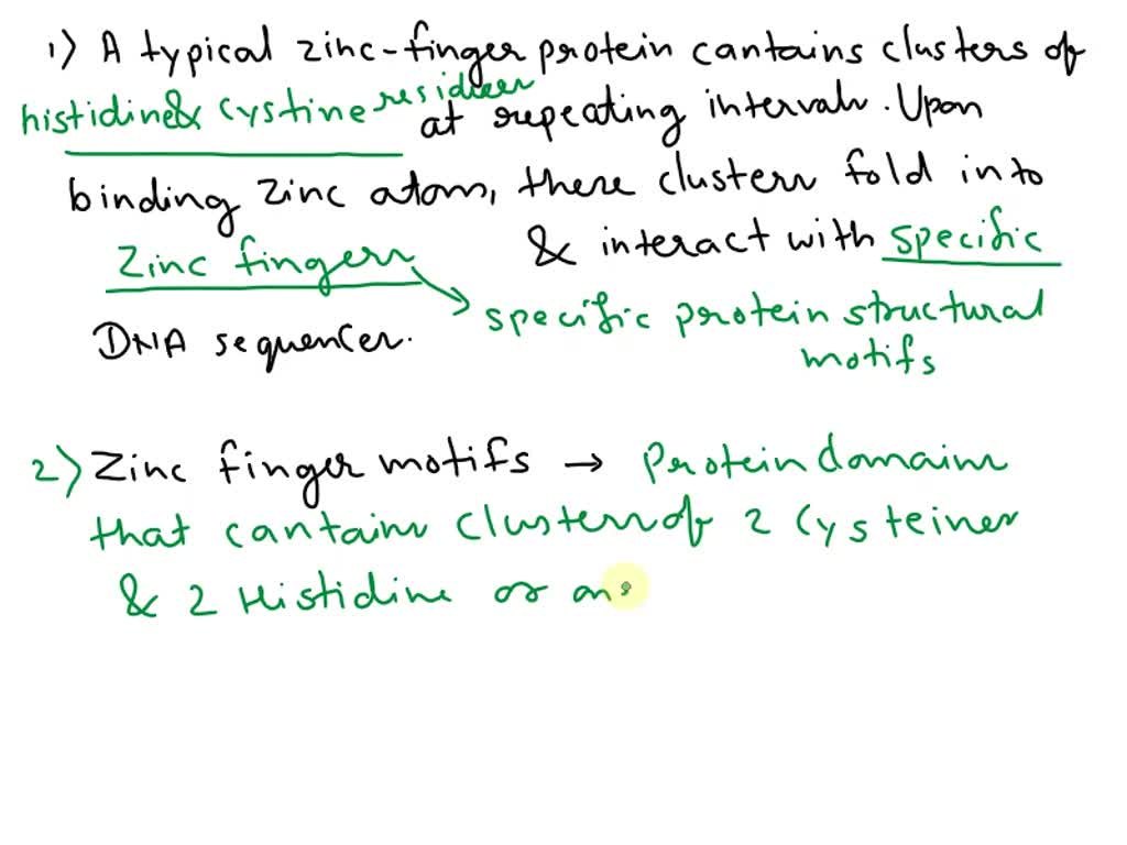 SOLVED What are zinc finger motifs and why are they frequently