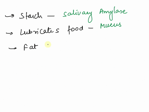 ach-component-of-saliva-with-its-approprlate-function-or-characteristic-lysozyme-mucus-immunoglobulin-a-salivary-amylase-electrolyies-lingual-lipase-match-each-of-the-options-above-to-the-lt-29251