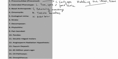 1_-matching-motch-the-personage-term-idea-etc-on-the-left-with-the-one-to-which-it-is-most-closely-ossociated-on-the-right-type-the-letter-after-the-colon-1-proconsulidae-proconsul-a-gibbons-18092