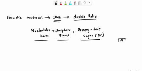 dna-is-made-up-of-nucleotide-bases-bonded-to-a-_____-sugar-phosphate-backbone-acid-and-bases-rna-diotide-bases-14243