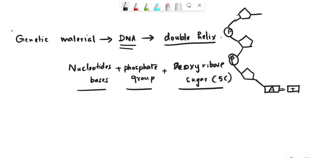 SOLVED Nucleic acids (DNA and RNA) are polymers of nucleotides. The