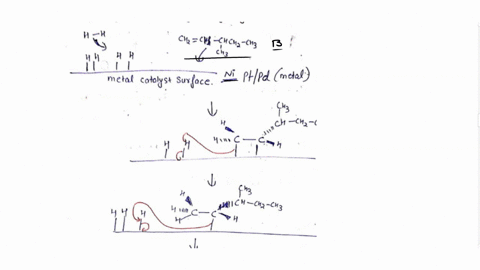 which-alkene-would-yield-3-methylpentane-when-subjected-to-catalytic-hydrogenation-ch3-chzch3-h-b-h-chzchzchzch3-ch3-d-h-chchzch3-chzchch3-ch3-ch3-51054
