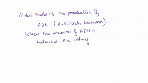 alcohol-and-caffeine-inhibit-the-effects-of-antidiuretic-hormone-explain-why-drinking-beer-or-coff-4-63558