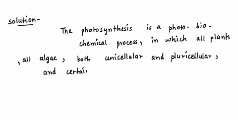 question-2-1-pts-which-organisms-can-undergo-photosynthesis-select-all-that-apply-animals-plants-fungi-some-bacteria-previous-next-81048