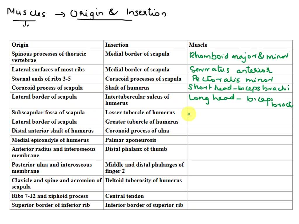 SOLVED: Give the origin, insertion, and action of the following muscles