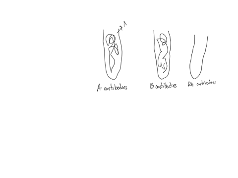 to-determine-the-blood-type-of-a-certain-blood-sample-you-set-up-three-test-tubes-test-tube-1-has-anti-a-antibodies-test-tube-2-has-anti-b-antibodies-test-tube-3-has-anti-rh-antibodies-you-p-84963