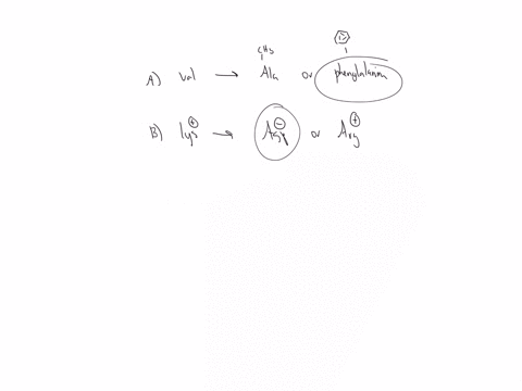 you-are-performing-site-directed-mutagenesis-test-predictions-about-which-residue-are-essential-for-a-protein-function-which-of-each-pair-of-amino-acid-substitutions-listed-below-would-you-e-55634