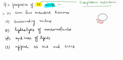 question-7-ido507bclick-here-to-report-this-link-all-the-following-are-properties-of-the-endoplasmic-reticulum-except-some-parts-have-embedded-ribosomes-it-is-usually-found-immediately-surro-66733