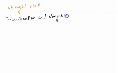 during-elongation-the-charged-trna-is-recruited-to-which-site-on-the-ribosome-49973
