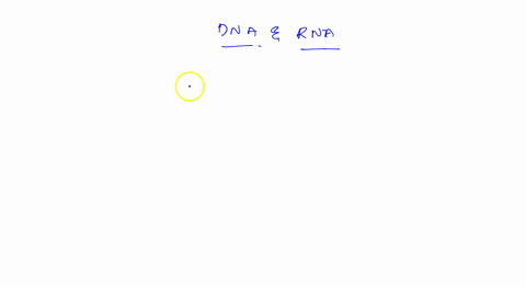 which-of-the-following-are-found-in-both-dna-and-rna-a-ribose-phosphate-groups-and-adenine-b-deoxyribose-phosphate-groups-and-guanine-phosphate-groups-guanine-and-cytosine-d-phosphate-groups-09389
