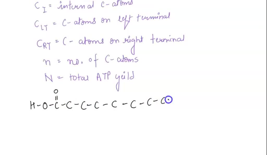 Calculate the ATP yield for the complete oxidation of the 14carbon