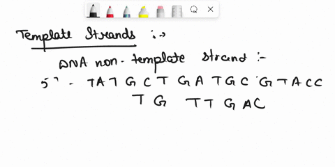 1-for-parts-a-and-b-below-remember-to-label-the-ends-of-your-sequences-a-given-the-dna-non-template-coding-strand-below-write-out-the-sequence-of-the-template-strand-b-fill-in-the-mrna-and-i-43648