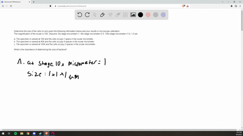 determine-the-size-of-the-cells-in-m-given-the-following-information-below-and-your-results-in-microscope-calibration-the-magnification-of-the-ocular-is-10x-assume-10x-stage-micrometer1-40x-81575