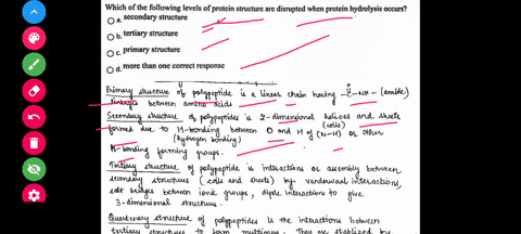 escion-28-which-of-the-following-levels-of-protein-structure-are-disrupted-when-protein-hydrolysis-occurs-oa-secondary-structure-tertiary-structure-primary-structure-more-than-one-correct-re-85798