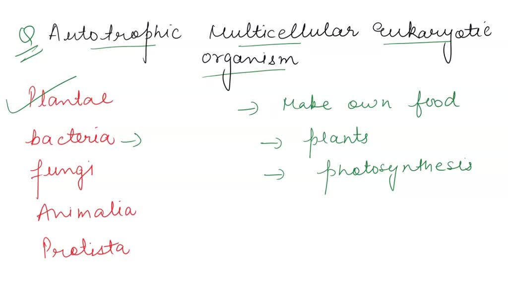 SOLVED 'Question 32 Which kingdom contains autotrophic, multicellular