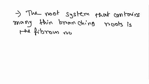 which-kind-of-root-system-contains-many-thin-branching-roots-30016