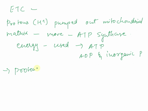 the-electron-transport-chain-works-together-with-something-called-atp-synthase-a-complex-enzyme-in-the-inner-membrane-that-builds-atp-from-adp-i-what-moves-through-the-atp-synthase-to-drive-25396