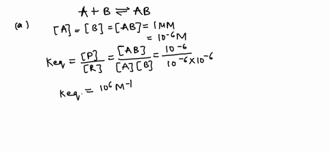 protein-a-binds-to-protein-b-to-form-a-complex-a-b-at-equilibrium-in-a-cell-the-concentrations-of-a-02783