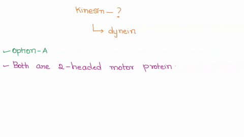 what-are-the-common-features-of-the-motor-proteins-kinesin-and-dynein-i-both-types-of-motor-proteins-bind-microtubules-ii-both-types-of-motor-proteins-bind-and-hydrolyze-atp-iii-both-types-o-12235