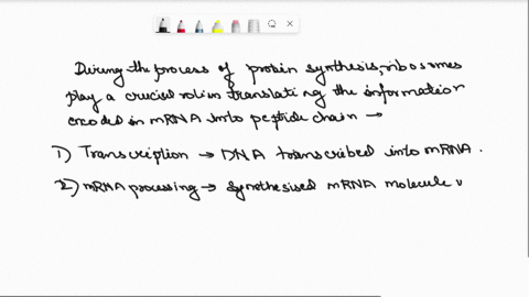 kemewamemuok-laue-manhneilabrahnsis-remaining-tlme-18-minutes-49-seconds-question-completion-status-question-39-during-protein-synthesis-ribosomes-a-translate-trna-into-protein-battach-to-th-02194
