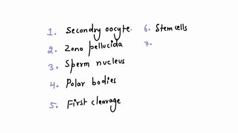 figure-521-label-the-diagram-of-the-stages-of-early-human-prenatal-development-402please-answer-every-part-secondary-sperm-oocyte-polar-zona-pellucida-nucleus-nucleus-bodies-cleavagesfirt-cv-16585