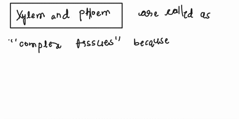 why-are-xylem-and-phloem-called-complex-tissue-how-are-they-different-from-one-another-81114