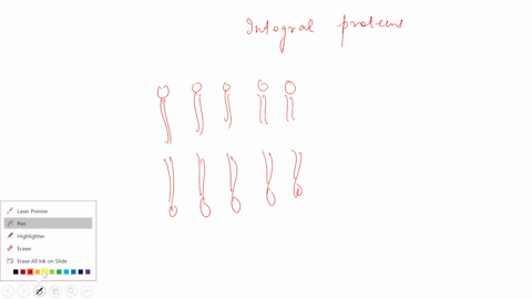 which-is-not-an-integral-membrane-protein-0-a-a-transmembrane-protein-that-spans-the-lipid-bilayer-b-a-monolayer-associated-protein-tucked-into-the-inner-leaflet-of-the-iipid-bilayer-c-a-pro-10667