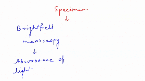 for-each-skeletal-element-describe-the-features-you-would-expect-to-find-in-a-bipedal-primate-and-in-a-honbipedal-primate-1-cranium-2-vetebral-column-3-pelvis-4-legs-5-feet-12349