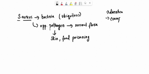why-would-s-aureus-not-be-inhibited-by-the-presence-of-salt-in-the-chicken-salad-57153