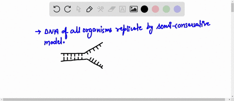 question-3-the-dna-of-all-organisms-replicates-by-dispersive-replication-seml-conservative-replication-conservative-replication-reverse-replication-parallel-replication-82617