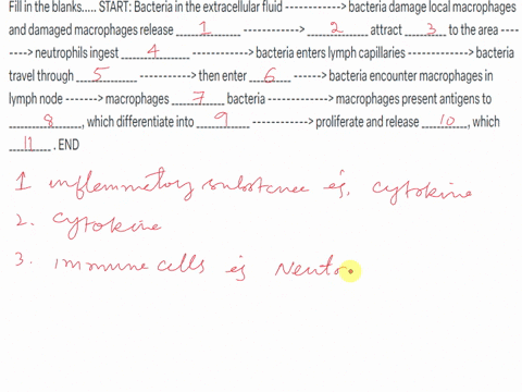 fill-in-the-blanks-start-bacteria-in-the-extracellular-fluid-bacteria-damage-local-macrophages-and-damaged-macrophages-release-_________________-________________-attract-___________-to-the-a-33524