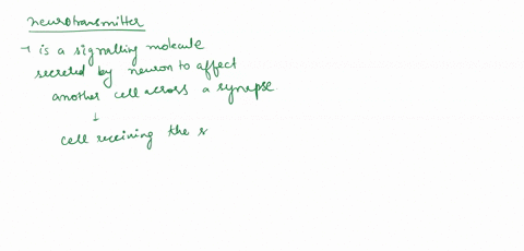 the-actions-of-drugs-on-neurotransmitter-systems-can-be-divided-into-two-main-types-what-are-they-35728
