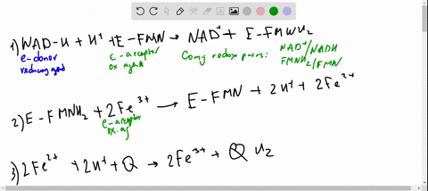 oxidation-reduction-reactions-complex-i-the-nadh-dehydrogenase-complex-of-the-mitochondrial-respir-2-21676