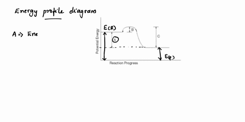 use-the-potential-energy-diagram-what-is-shown-by-the-letter-c-the-activation-energy-of-the-forward-reaction-the-activation-energy-of-the-reverse-reaction-8-the-heatsotio-the-state-heat-of-r-61948