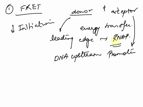 rpo-you-obsene-the-result-shown-t0-the-nght-trom-fret-experiment-studying-iranscnption-initiation-rp-c-7-coli-the-donor-fluorophore-placed-on-the-leading-edge-of-the-rnap-the-most-don-nstrea-63988