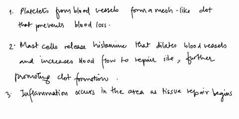 red-bbod-ccll-fibraue-clot-noutortil-in-the-following-ilst-number-the-stepsof-wound-heallng-after-soft-tissue-injury-inflammation-occurs-in-the-area-as-tissue-repair-begins-_-mast-cells-rele-43935