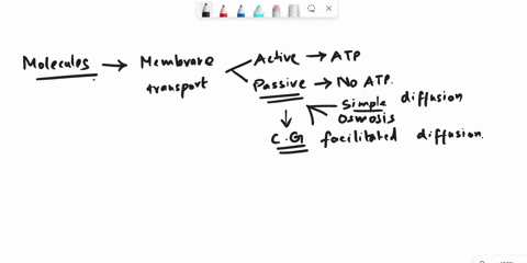 why-does-facilitated-diffusion-require-membrane-transport-proteins-while-simple-diffusion-does-not-78203