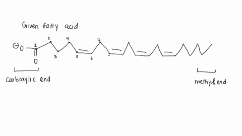 consider-the-fatty-acid-which-of-the-designations-are-accurate-for-the-fatty-acid-2044581114-2044-691215-471013-nonadecatetraenoic-acid-0-3-fatty-acid-6-fatty-acid-incorrect-92643