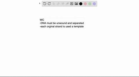 what-did-the-watson-crick-model-suggest-about-the-replication-of-dna-02893