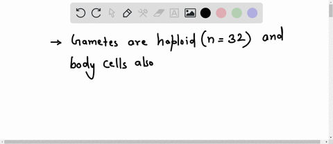 if-the-haploid-number-of-an-organism-is-32-how-many-pairs-of-chromosomes-would-be-found-in-each-of-the-cells-of-the-adult-organism-1-128-2-16-3-32-4-64-55666