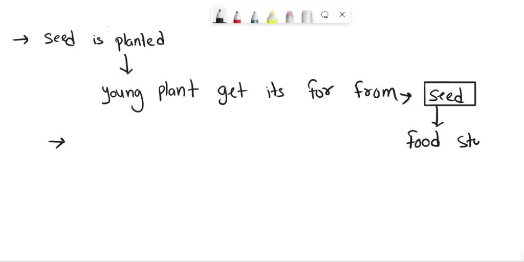 SOLVED 21. We know that the leaves make food for a plant. When a seed is planted, before its