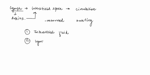 section-4-circulation-of-lymph-and-lymphatic-vessels-lymph-is-excess-interstitial-fluid-from-peripheral-tissues-that-has-entered-a-lymphatic-vessel-lymphatic-vesselsor-lymphaticstransport-th-36608