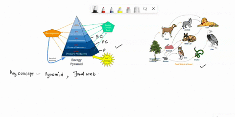 place-these-animals-in-the-appropriate-trophic-levels-like-in-figure-41-2-create-food-web-for-these-organisms-like-the-one-in-figure-42although-your-web-may-be-more-complex-than-the-one-in-t-27207