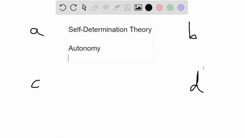 deci-and-ryans-self-determination-theory-a-accurately-describes-psychological-motives-in-individuali-15828