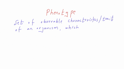 blood-types-are-phenotypes-true-or-false