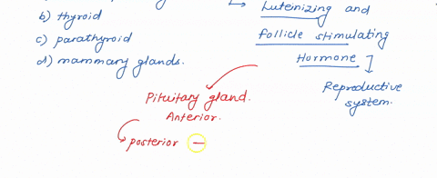 which-of-the-following-glands-produces-hormones-that-affect-osmoregulation-reproduction-and-metabolism-anterior-pituitary-thyroid-parathyroid-mammary-glands-16916
