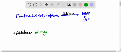 what-class-does-the-enzyme-that-catalyzes-this-reaction-belong-to-dihydroxyacetone-phosphate-dhap-chzopo-13-0-chopo-11-co-12-ho-c_h-j3-h_c_oh-ho-chz-h_c_oh-j5-chzopo-0-c-h_c_oh-12-chzopo-fru-92236