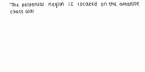 the-axillary-region-medial-or-lateral-to-the-pectoral-region-77383